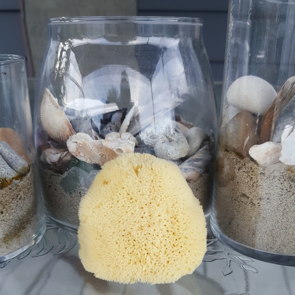 Mediterranean Sponge