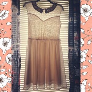 Francesca's Cream Peter Pan dress
