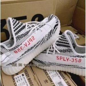 Yeezy 350 V2 Boost Dupe