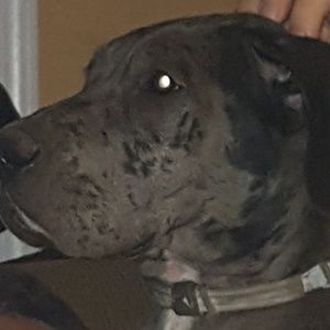 Meet your Posher, Sherry