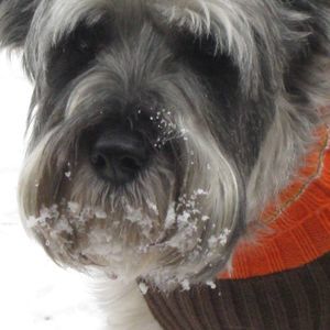 Meet your Posher, Kanesha