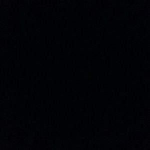 Meet your Posher, Alvina