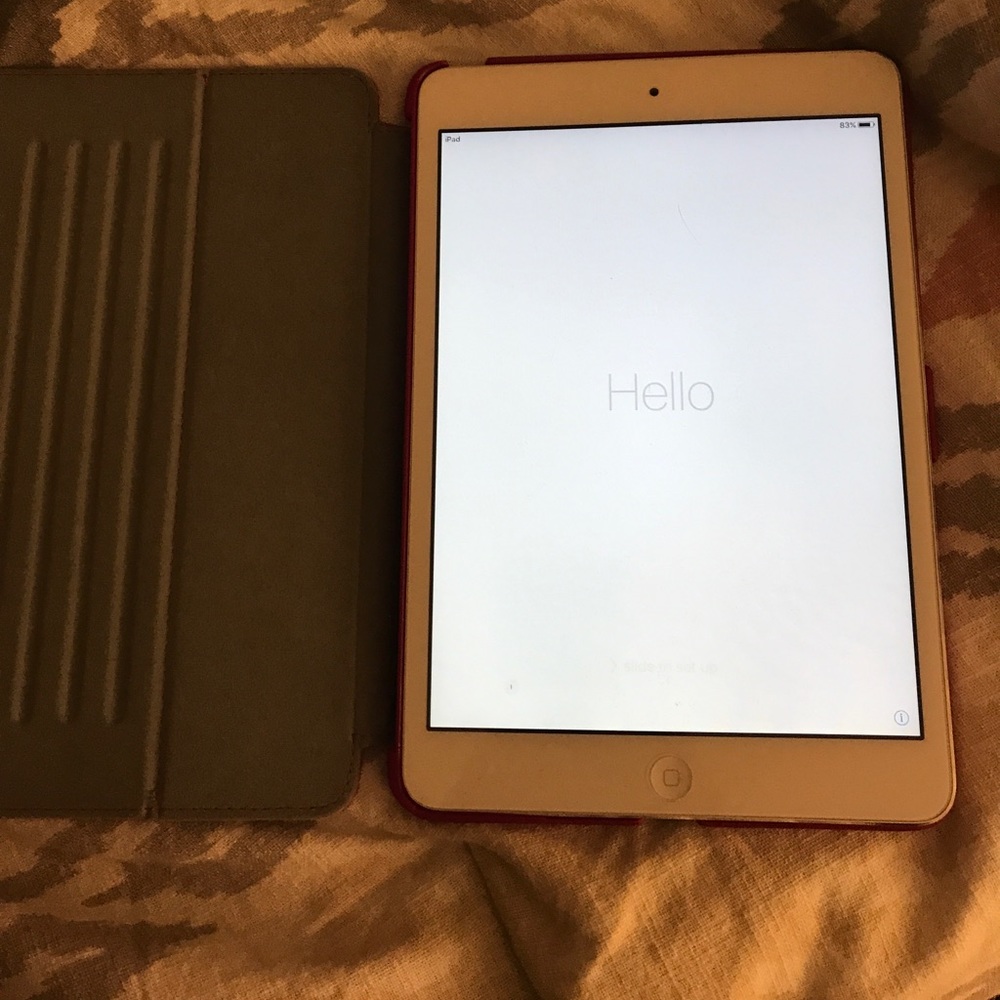 Ipad mini and case. Had plenty of ❤️