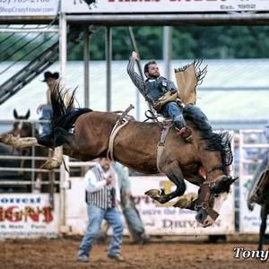 Meet your Posher, Keegan