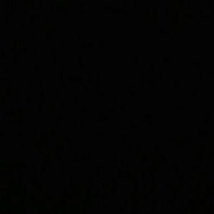 Meet your Posher, Jasmin