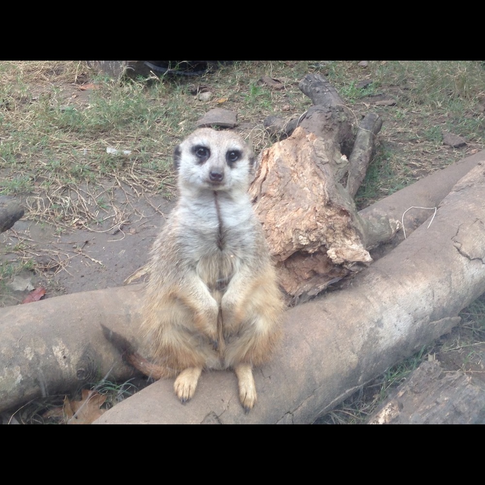 Meet your Posher, Hilary