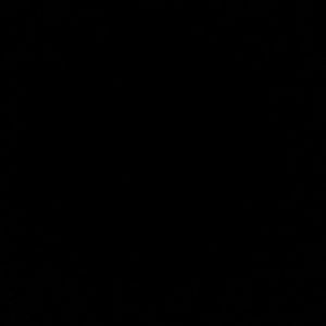 Meet your Posher, Malik