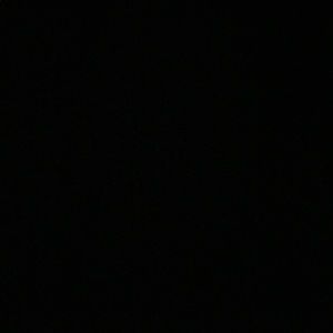 Meet your Posher, Gino