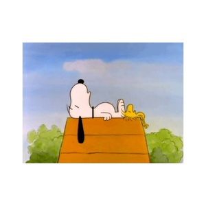 Meet your Posher, Joy