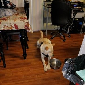 Meet your Posher, Susan