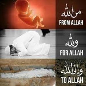 Meet your Posher, Jerry