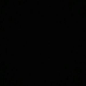 Meet your Posher, Anastasia