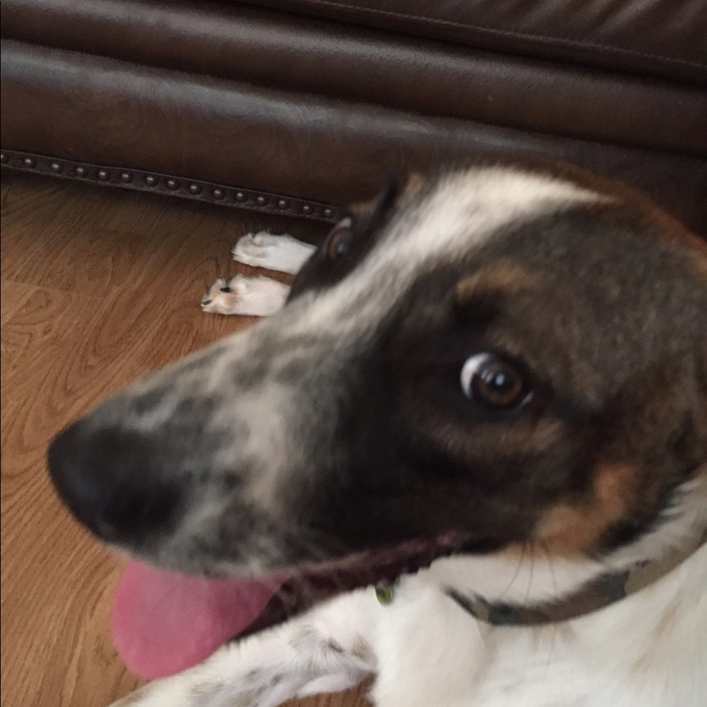 Meet your Posher, Erin