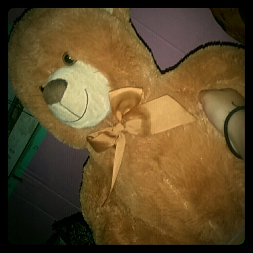 Teddy bear