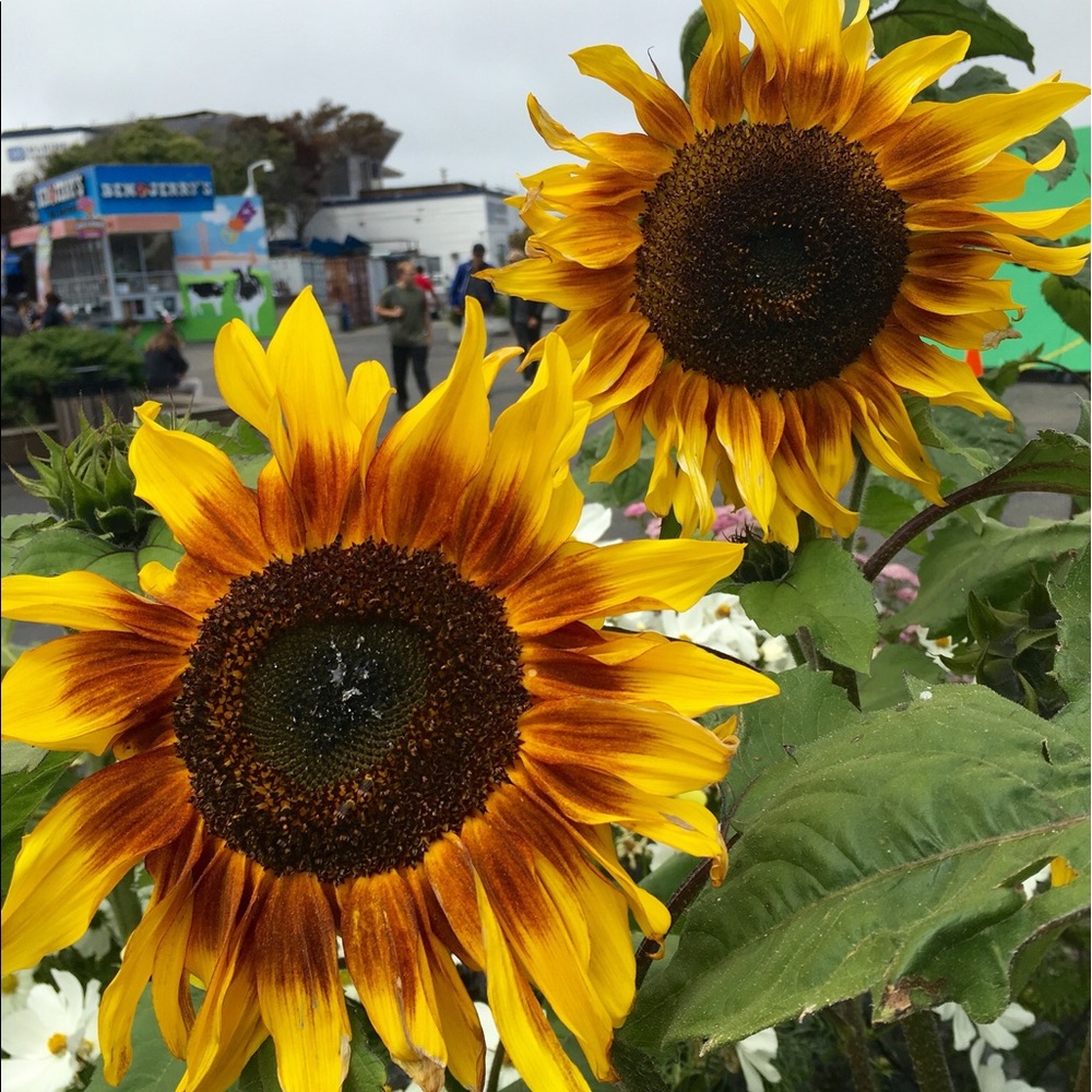 Meet your Posher, Natalie