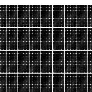 Meet your Posher, Isela