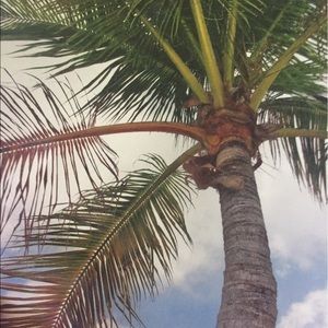 Meet your Posher, Mya