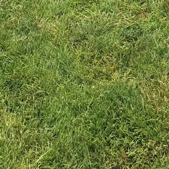 Meet your Posher, Sean - Picture 1 of 1