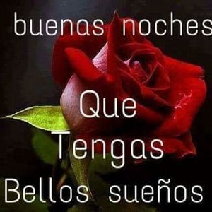 Meet your Posher, Catalina