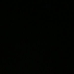 Meet your Posher, Callie