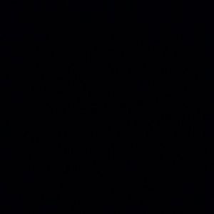 Meet your Posher, Nora