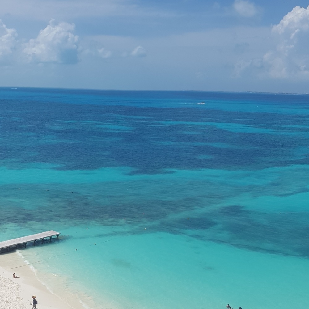 Meet your Posher, Kara