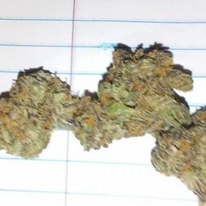 Meet your Posher, Dale