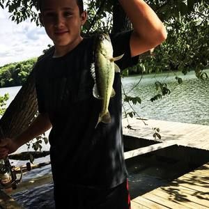 Meet your Posher, Logan