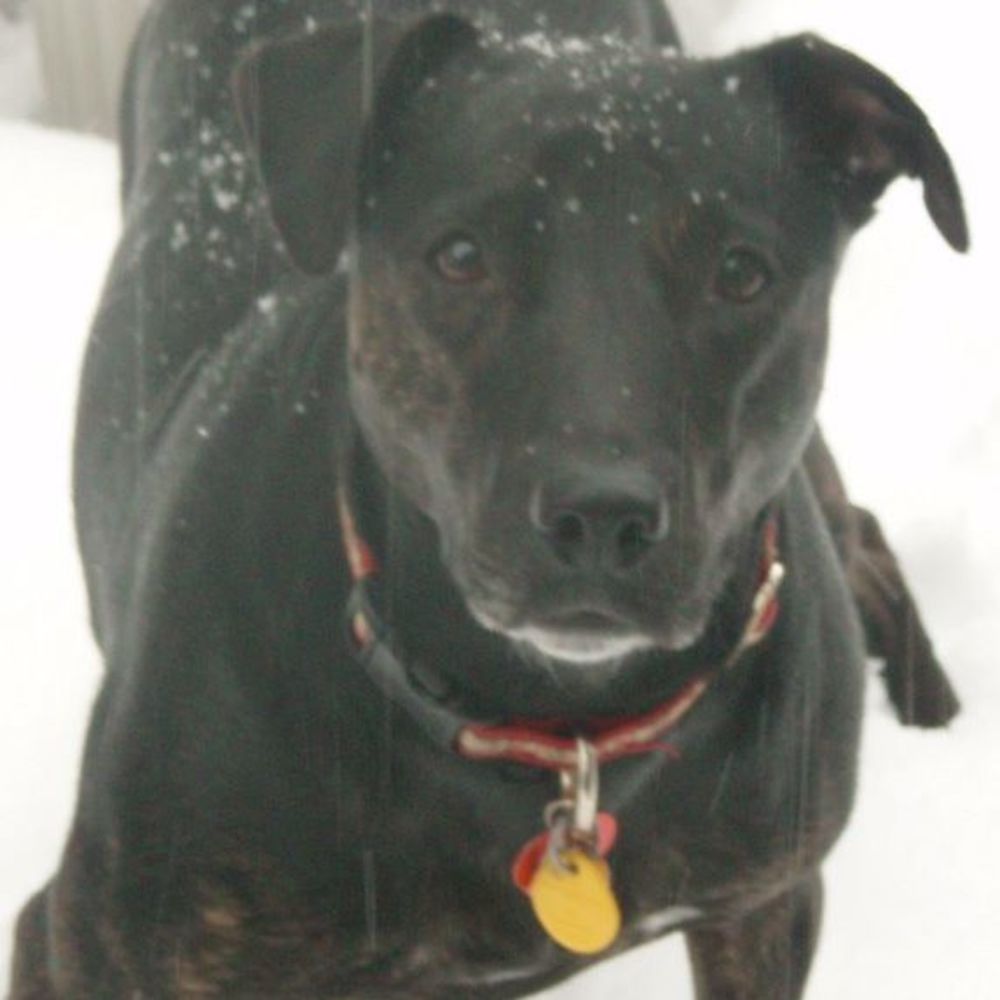 Meet your Posher, Debra