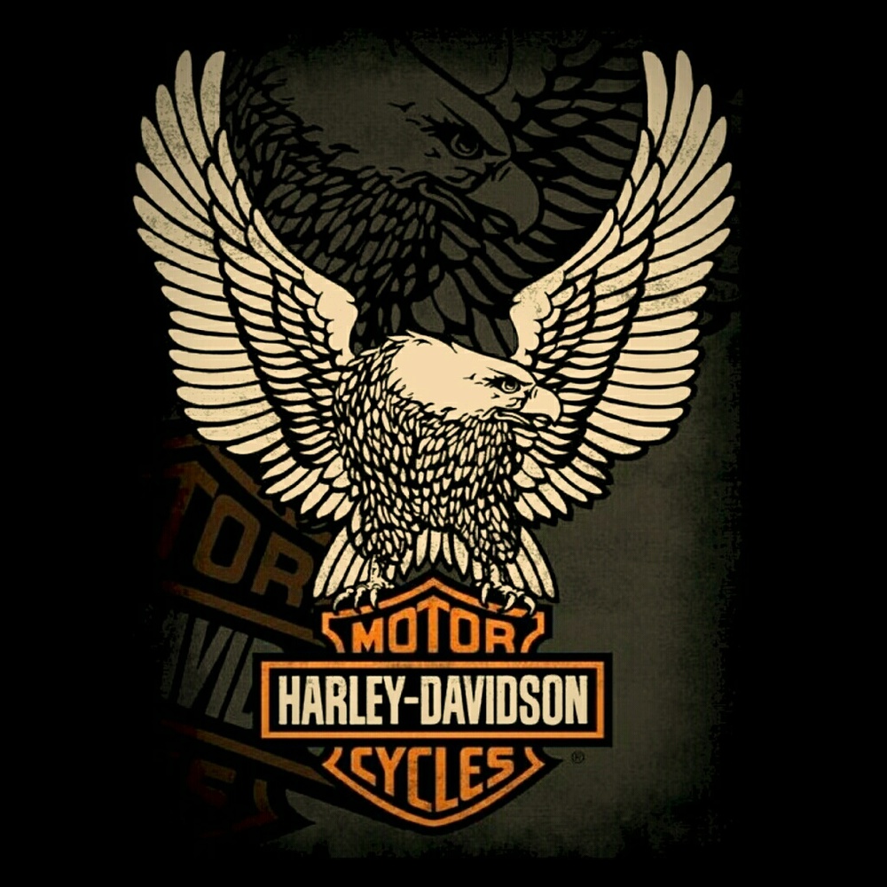 ISO Harley Davidson strapless tops