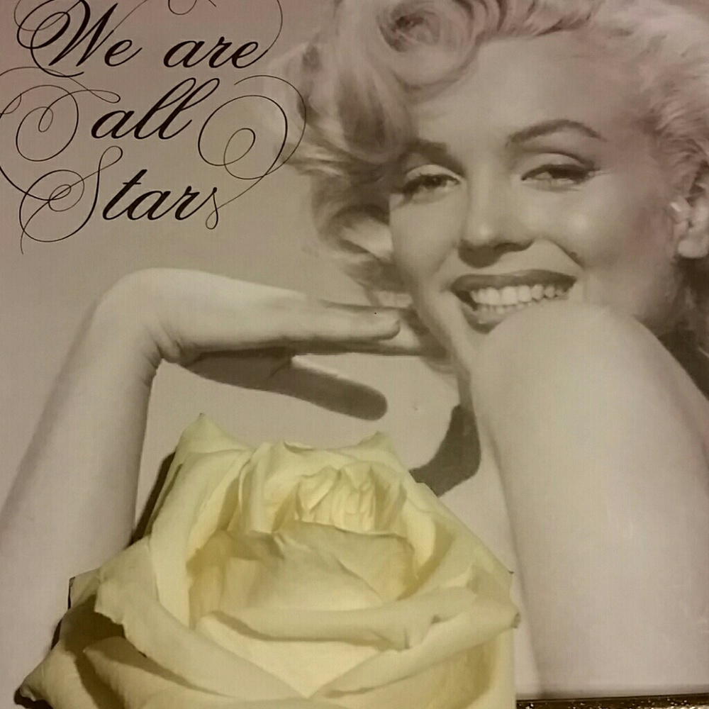 WE ARE ALL STARS