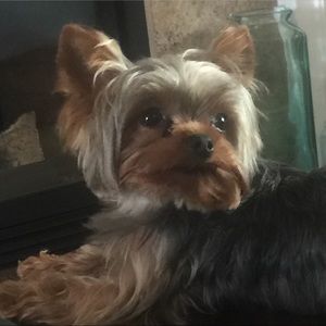 Meet your Posher, Patty