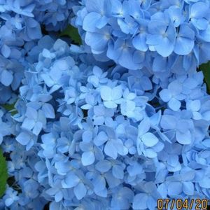 Meet your Posher, Lm