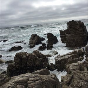 Meet your Posher, Shane