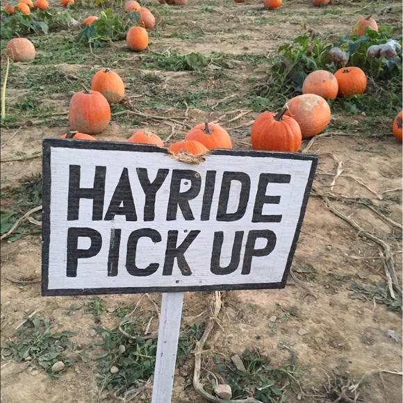 Meet your Posher, Tina - Picture 1 of 1