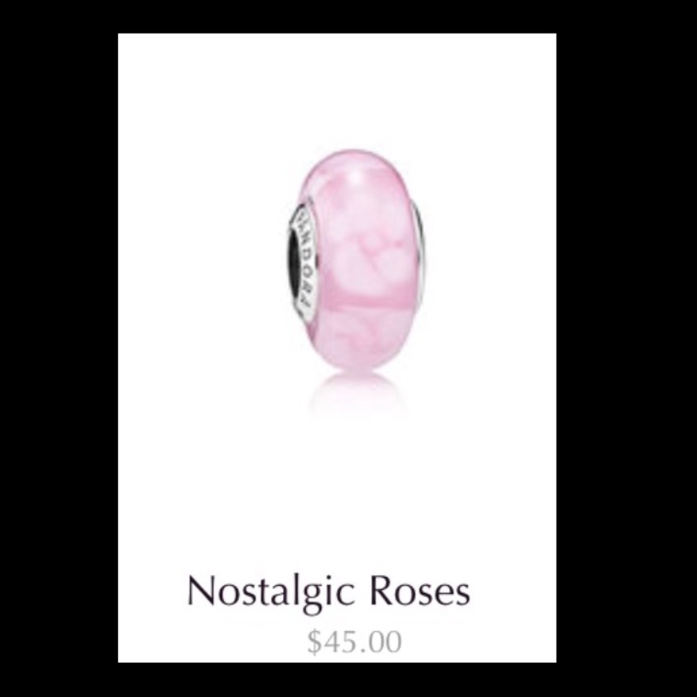 🌹Nostalgic Roses Charm.
