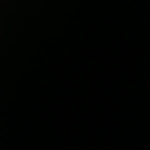 Meet your Posher, Nesha