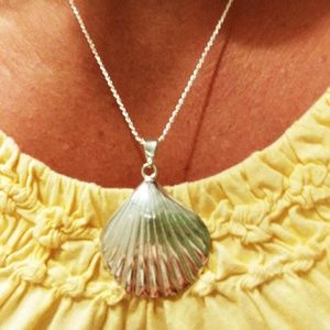Sterling Silver seashell and chain