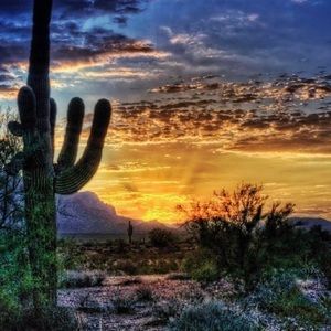 Meet your Posher, Jesse