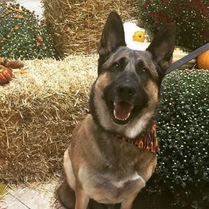 Meet your Posher, Nathan