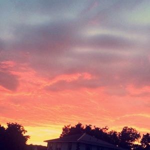 Meet your Posher, Bre