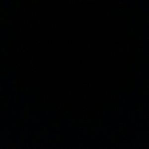 Meet your Posher, Ella