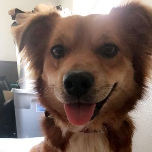 HI POSHERS!! Huge closet overhaul coming shortly!!