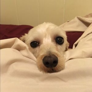 Meet your Posher, Emi