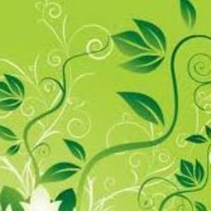 Meet your Posher, Lorrie