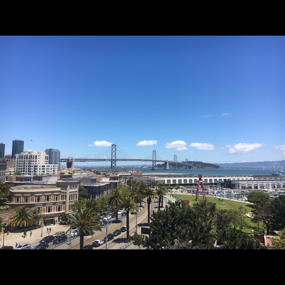 Meet your Posher, Haley