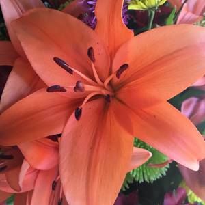 Meet your Posher, Michelle