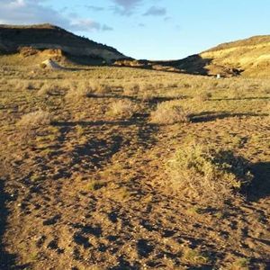 Meet your Posher, Anne