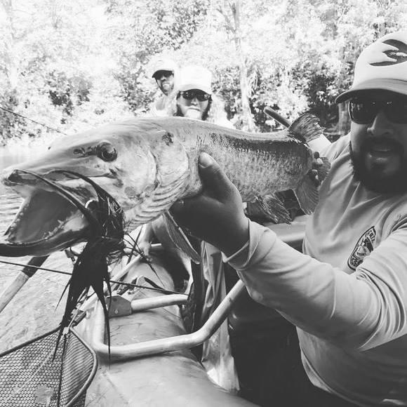 Meet your Posher, Kevin - Picture 1 of 1