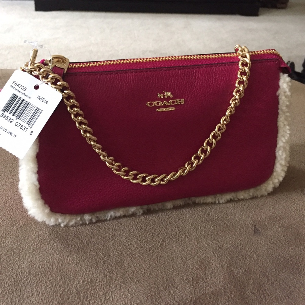 BRAND NEW with tags trendy coach purse!!